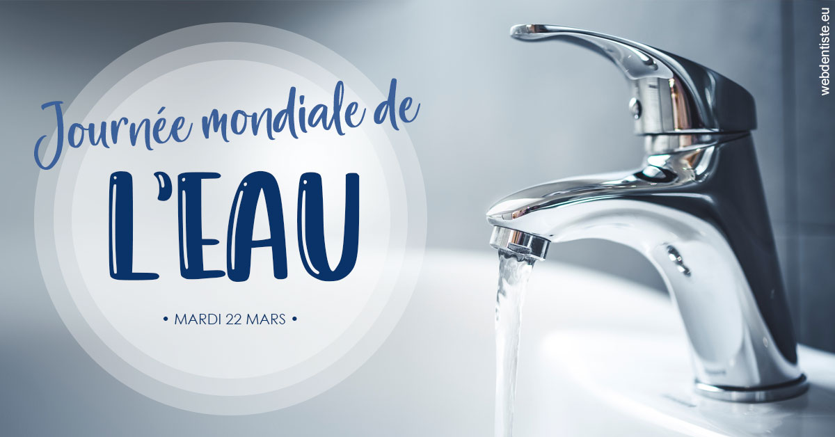 https://www.dr-falanga-henri-jean.fr/La journée de l'eau 2