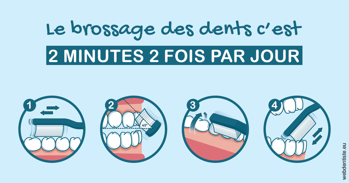 https://www.dr-falanga-henri-jean.fr/Les techniques de brossage des dents 1