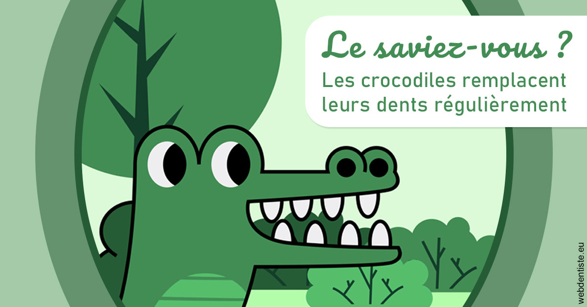 https://www.dr-falanga-henri-jean.fr/Crocodiles 2