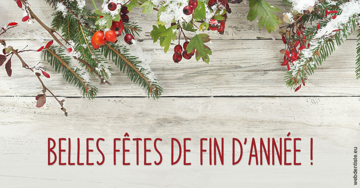 https://www.dr-falanga-henri-jean.fr/Joyeux Noël 2