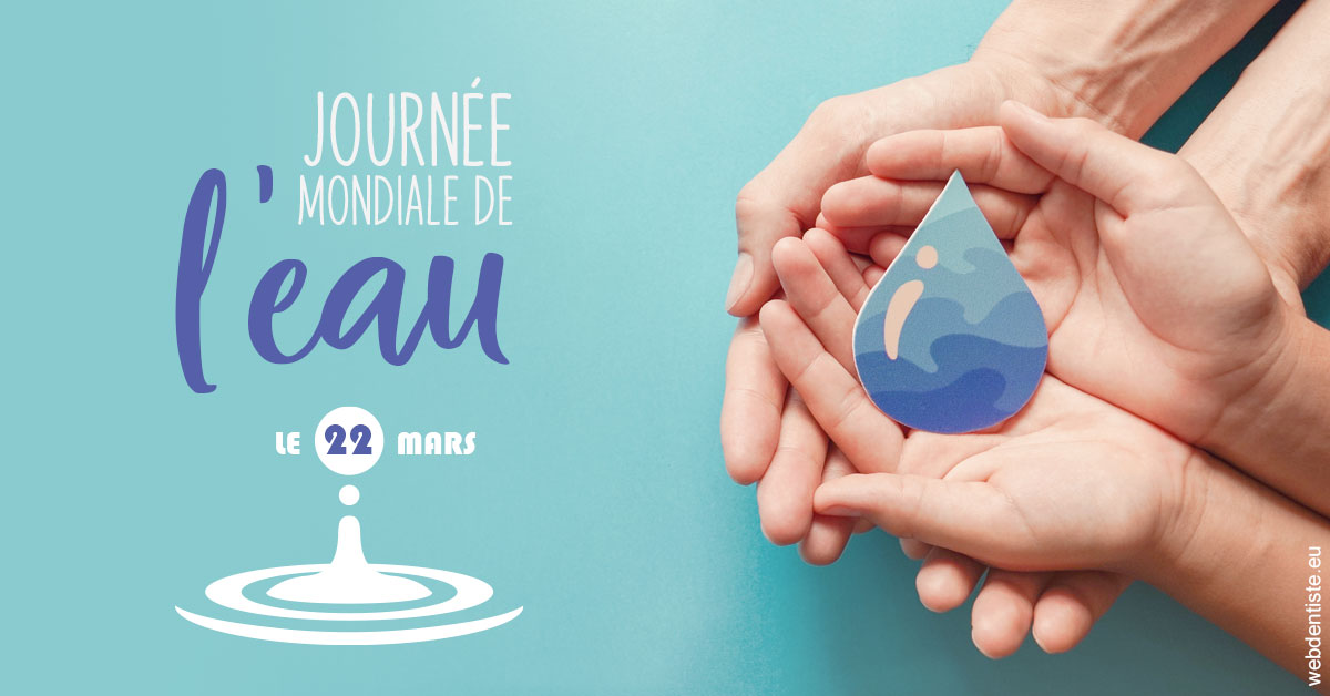 https://www.dr-falanga-henri-jean.fr/La journée de l'eau 1