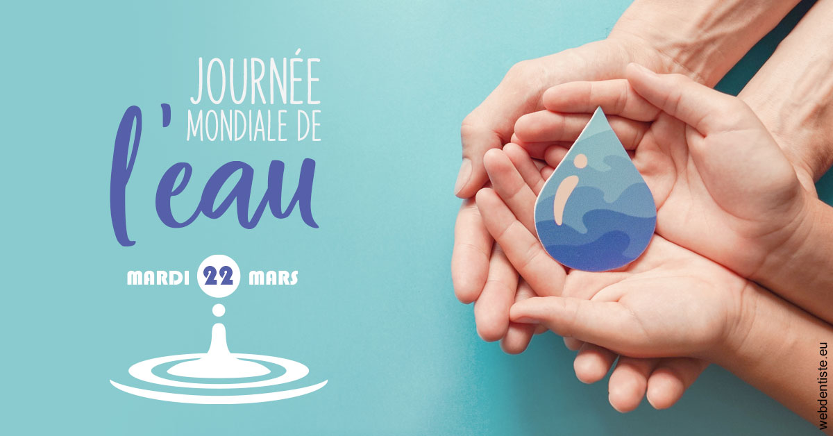 https://www.dr-falanga-henri-jean.fr/La journée de l'eau 1