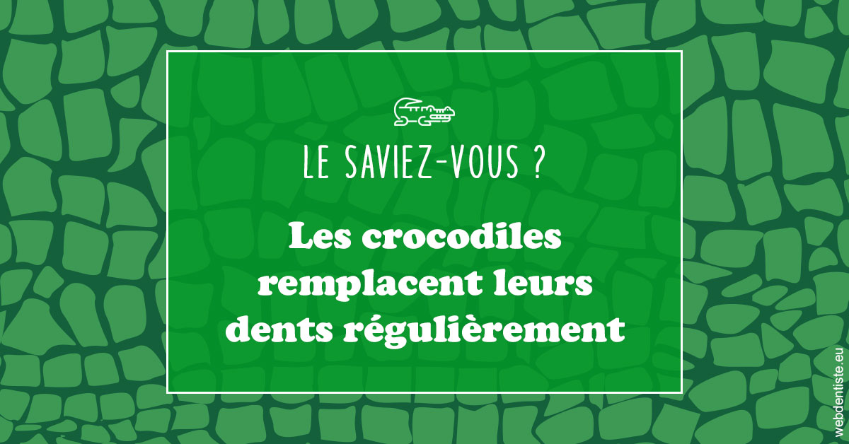 https://www.dr-falanga-henri-jean.fr/Crocodiles 1